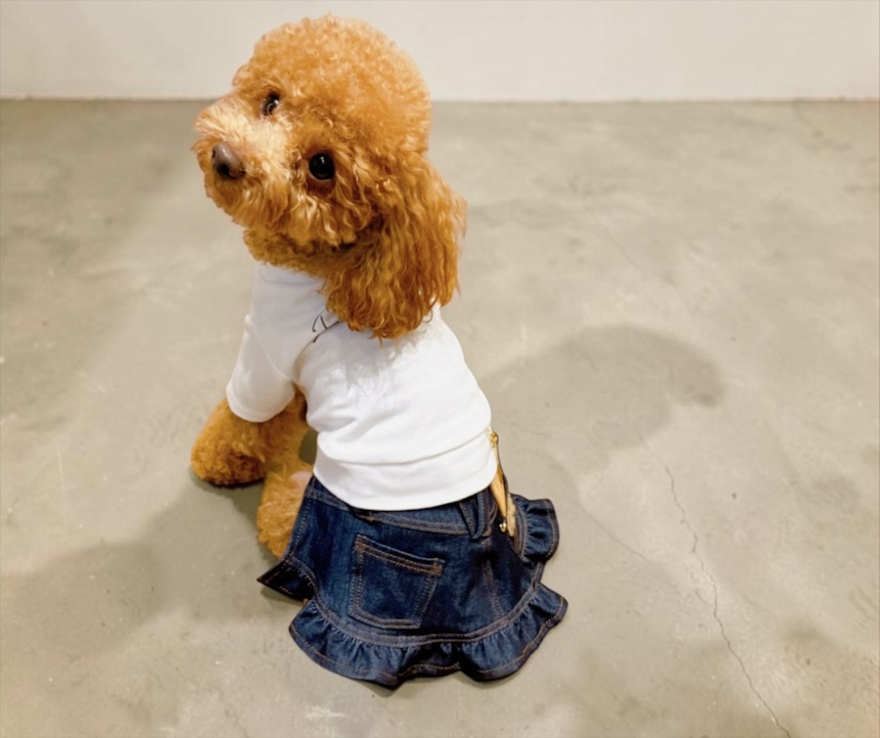 Refined Denim Skirt