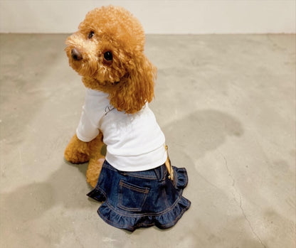 Refined Denim Skirt