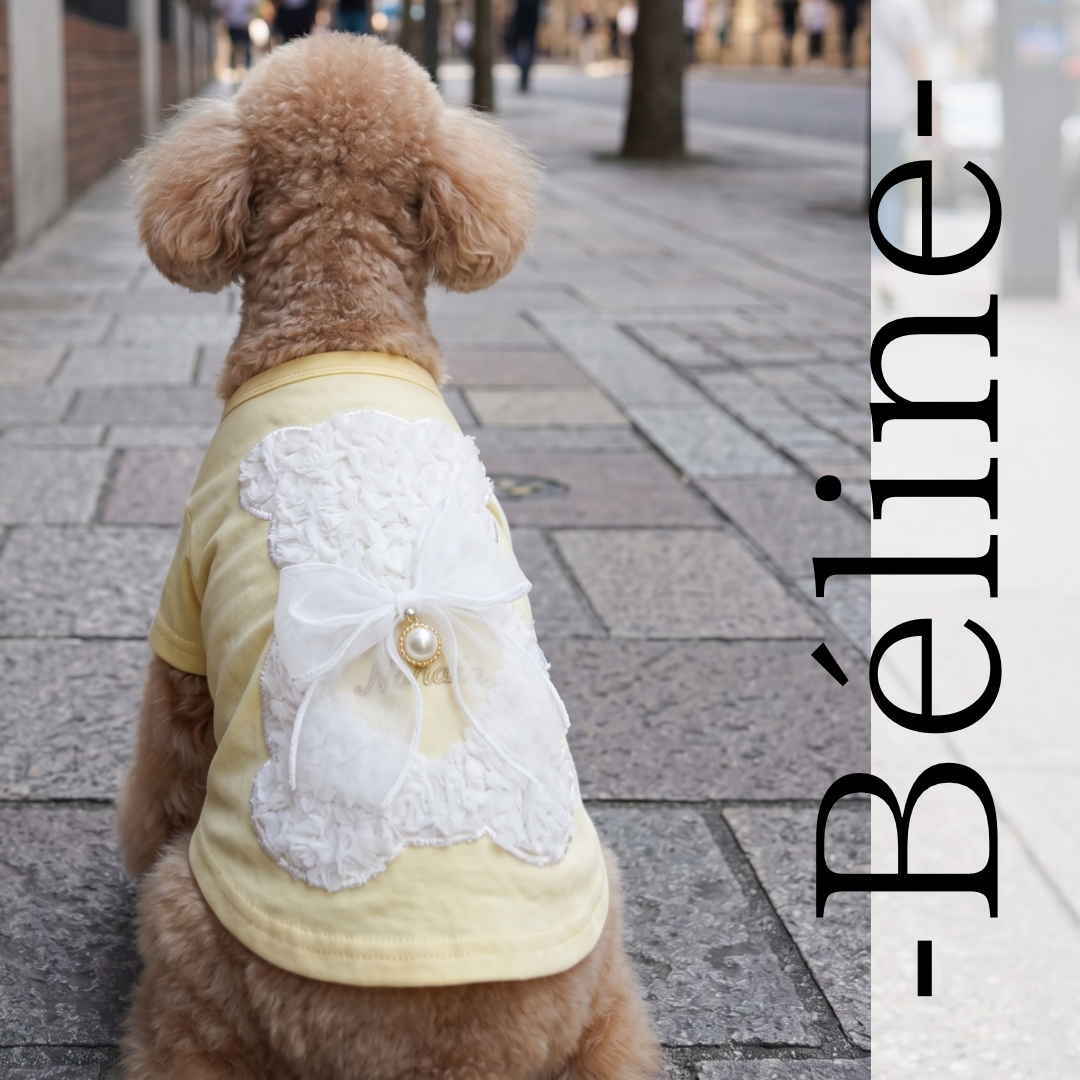 BELLUNE