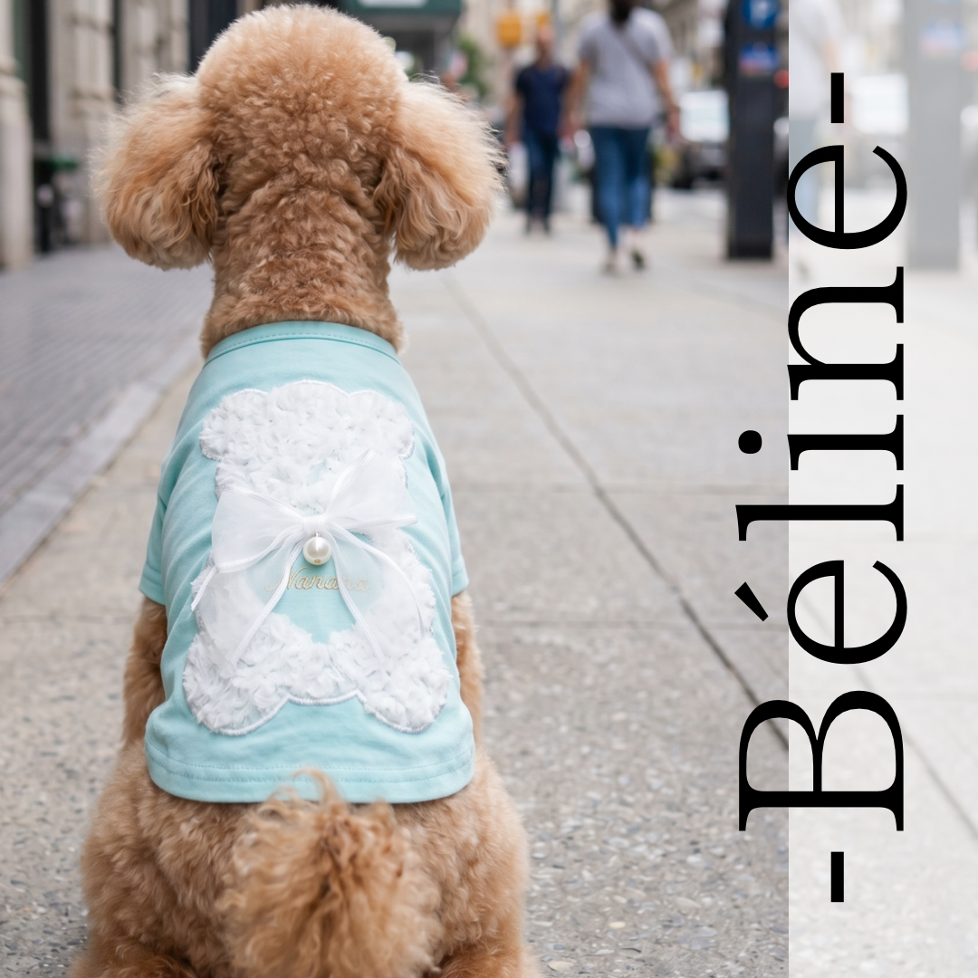 BELLUNE
