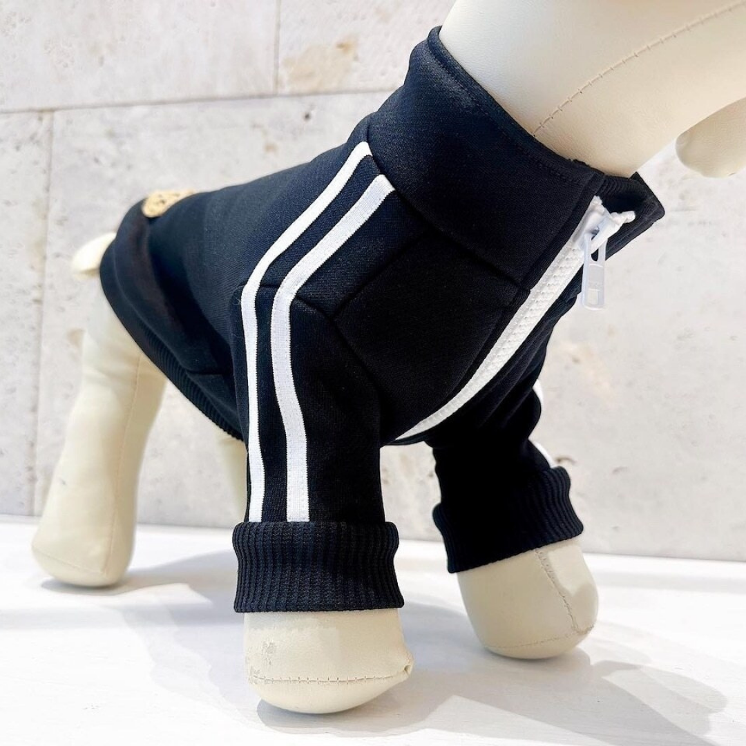 Patch Track Jacket