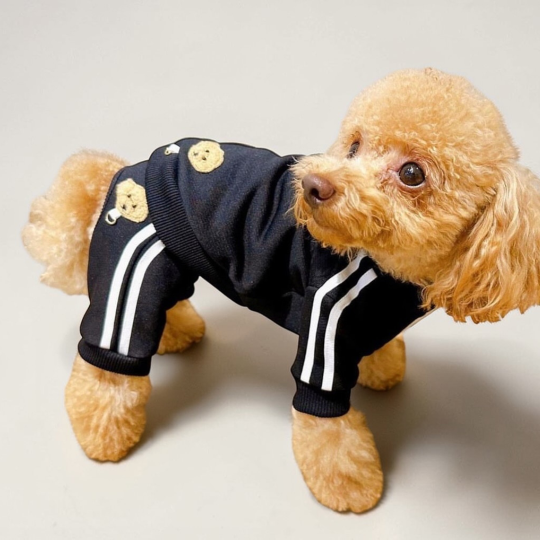 Patch Track Jacket
