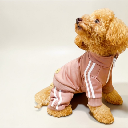 Patch Track Pants